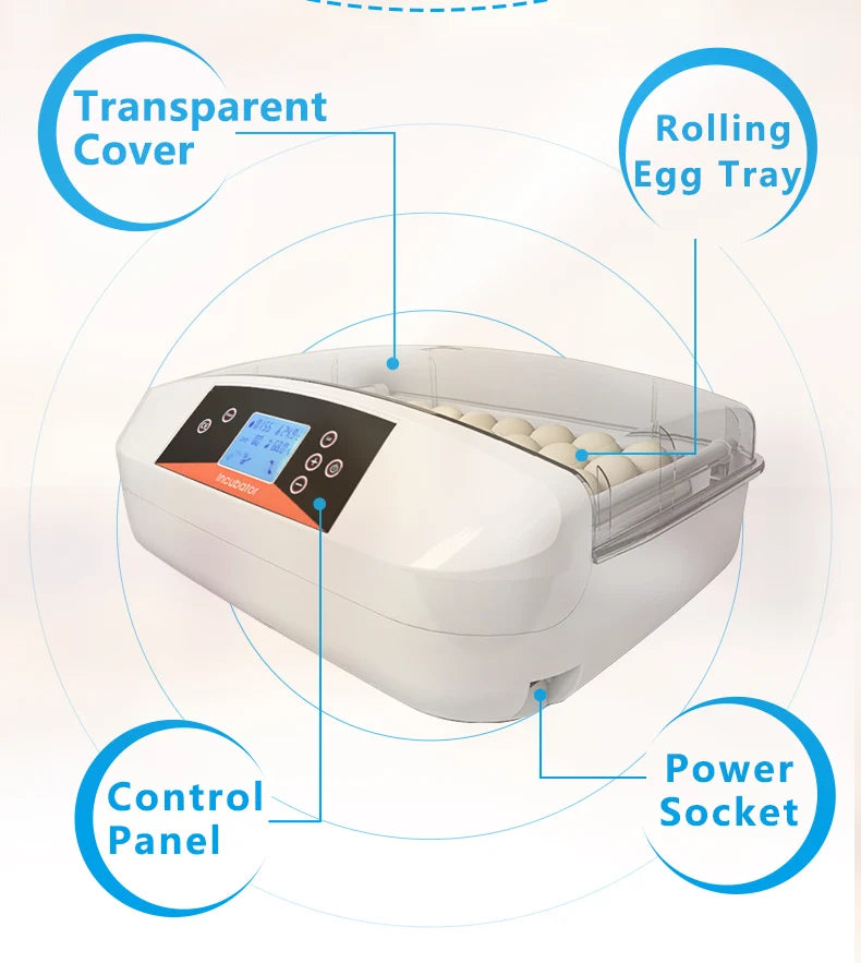 HHD High Hatching Rate Fully Automatic Quail Chicks  Incubator for Hatching Eggs Machine   G32A NovaCart