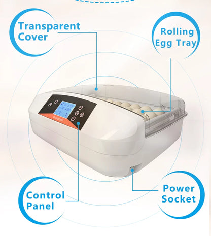 HHD High Hatching Rate Fully Automatic Quail Chicks  Incubator for Hatching Eggs Machine   G32A NovaCart
