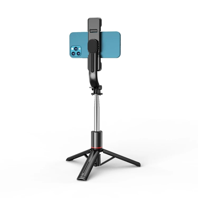 Dropshipping L13D Remote Control Detachable Fill Light Tripod Selfie Stick Phone Holder NovaCart