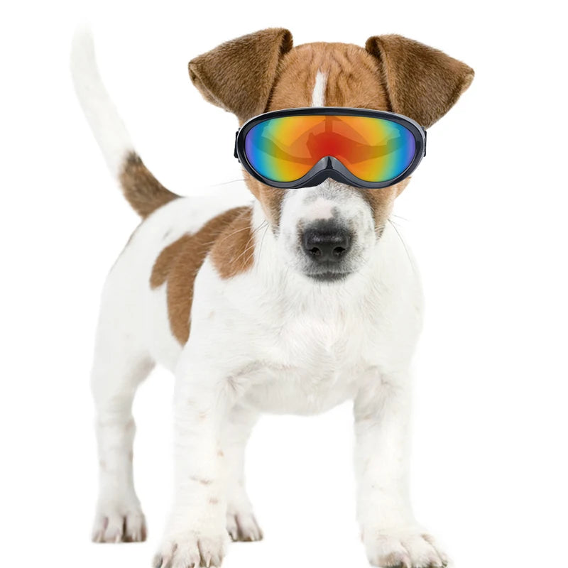 Dogs Glasses Waterproof Pet Accessories Pet Sunglasses Hound Dog Ski Googles NovaCart