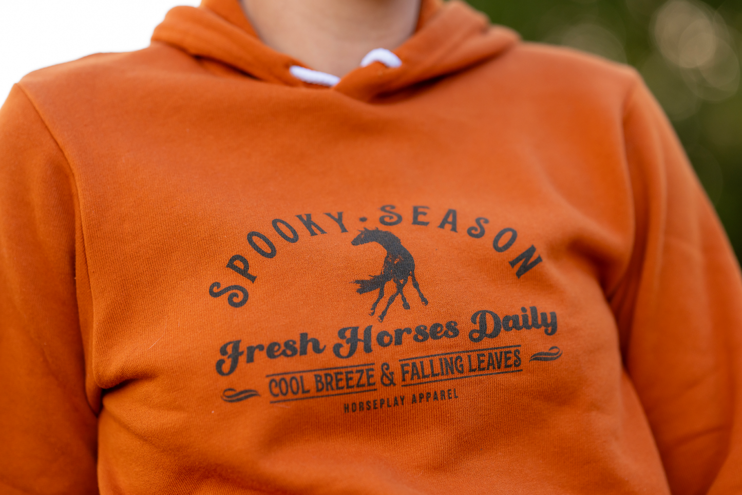 Spooky Season Hoodie: Glow In The Dark! Horseplay Apparel