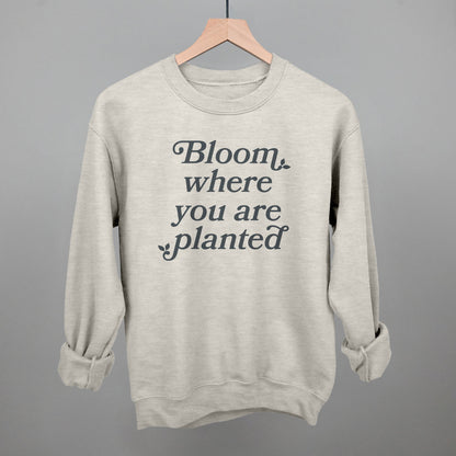 Bloom Where You Are Planted Ivy + Cloth