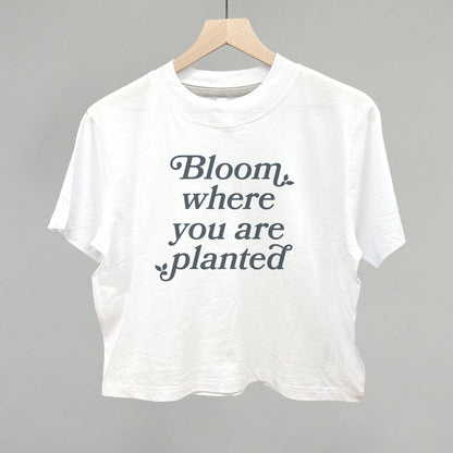 Bloom Where You Are Planted Ivy + Cloth