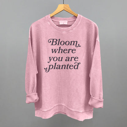 Bloom Where You Are Planted Ivy + Cloth
