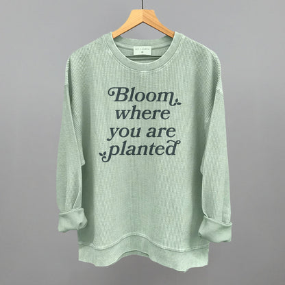 Bloom Where You Are Planted Ivy + Cloth