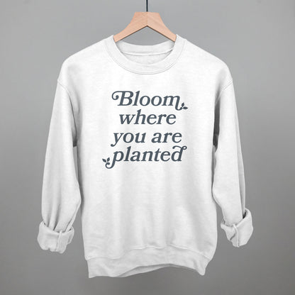 Bloom Where You Are Planted Ivy + Cloth