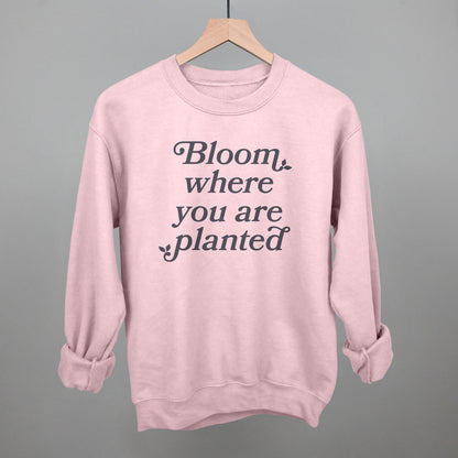 Bloom Where You Are Planted Ivy + Cloth