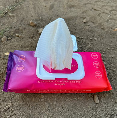 Playa Wipes Wook Plugs