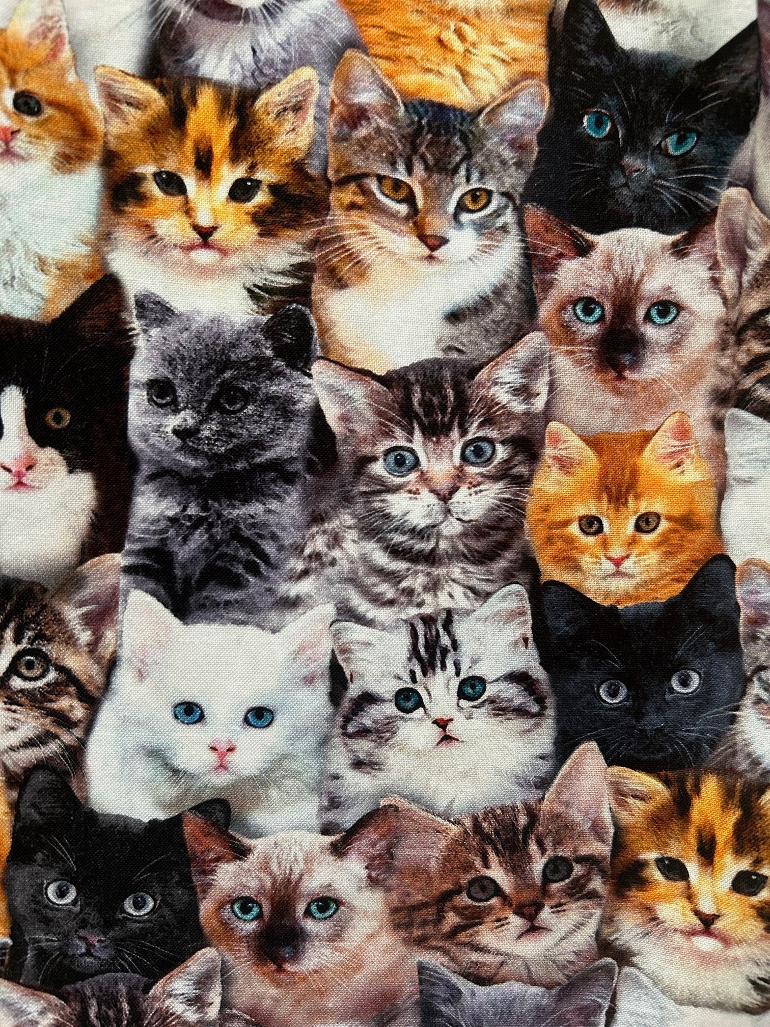 Realistic Cats A-line Skirt Retrolicious