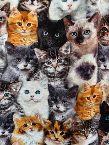 Realistic Cats Fit & Flare Dress Retrolicious