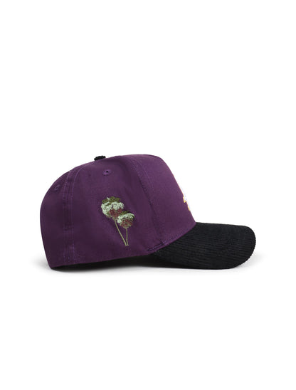 Reference Mens Paradise LA Corduroy Brim Hat - Purple/Black Denim Exchange