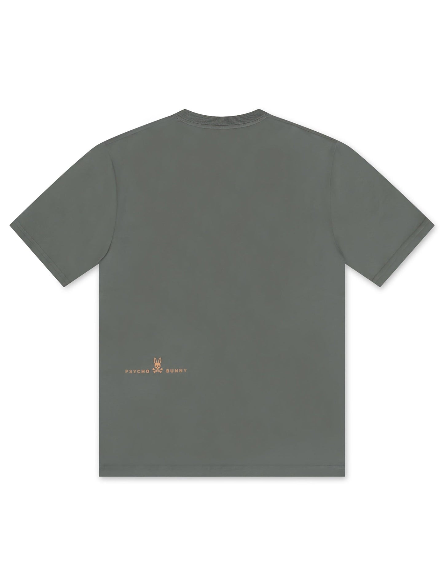 Psycho Bunny Norwood Graphic Tee - Agave Green Denim Exchange