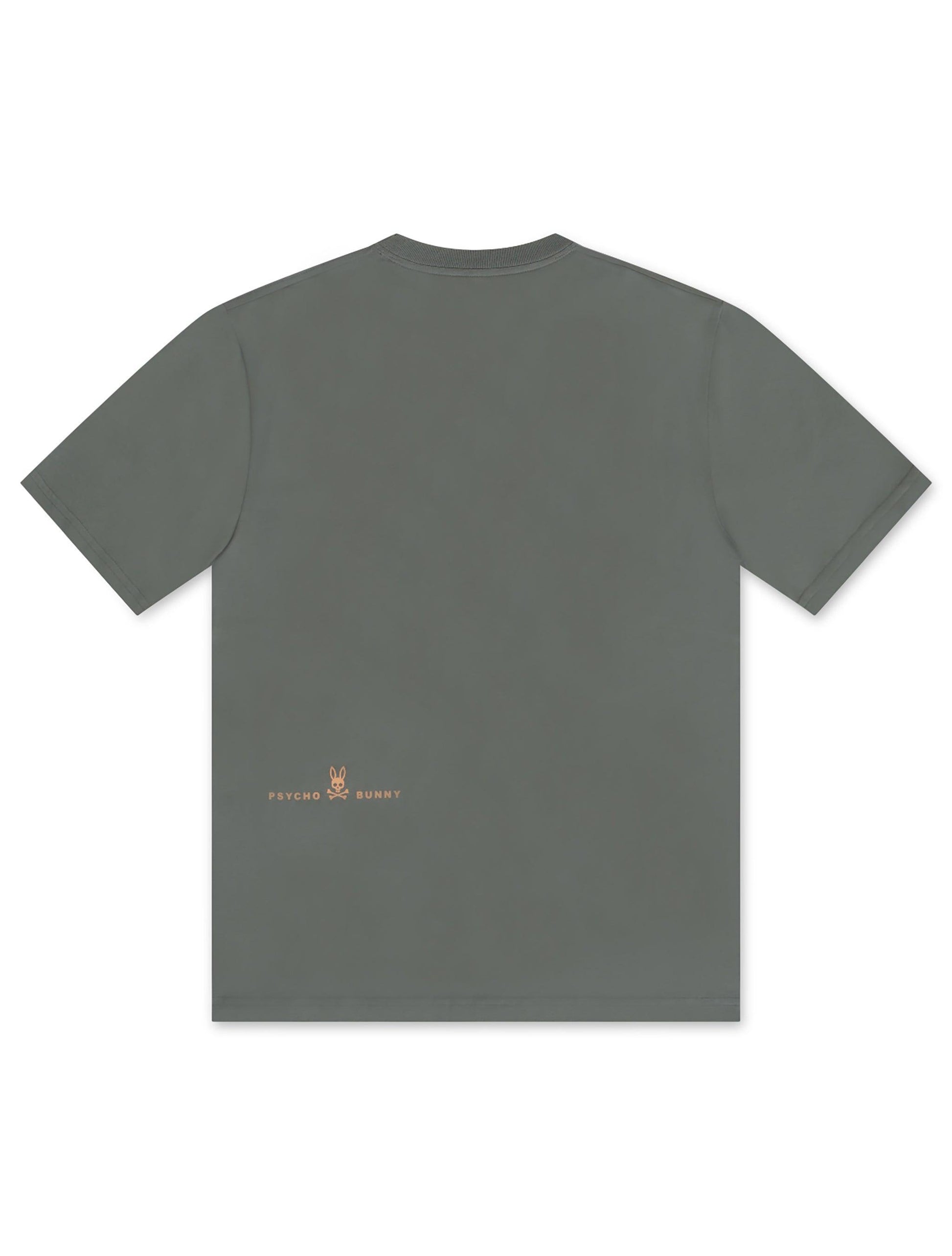 Psycho Bunny Norwood Graphic Tee - Agave Green Denim Exchange