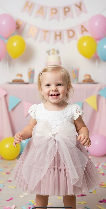 Blush Lace & Tulle Baby Dress Honey and Hive