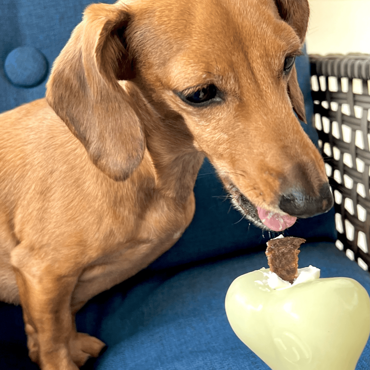 Dog Treat Dispensers Farm To Pet