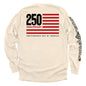 America 250 Years Anniversary Flag Shield Republic