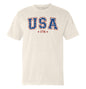 USA Star Pattern Shield Republic
