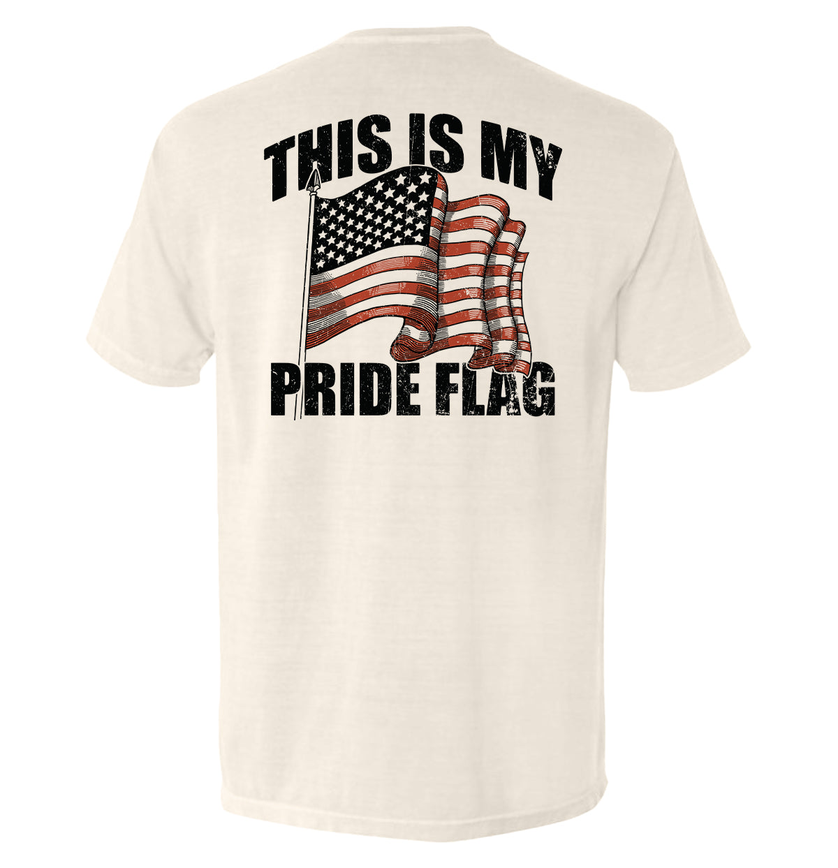 This Is My Pride Flag Shield Republic
