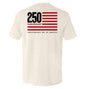 America 250 Years Anniversary Flag Shield Republic