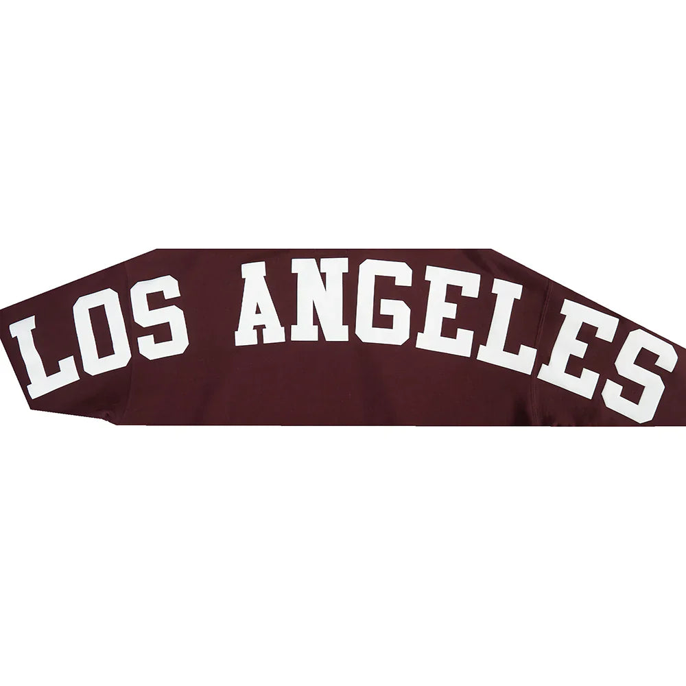 Pro Standard La Dodgers Wingspan Drop Shoulder Hoodie - Wine Denim Exchange