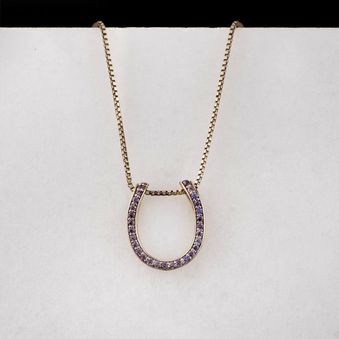 Levade -Violet Moissanite Horseshoe Equestrian Necklace in Silver Urban-Equestrian