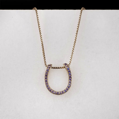 Levade -Violet Moissanite Horseshoe Equestrian Necklace in Silver Urban-Equestrian