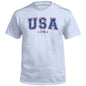 USA Star Pattern Shield Republic