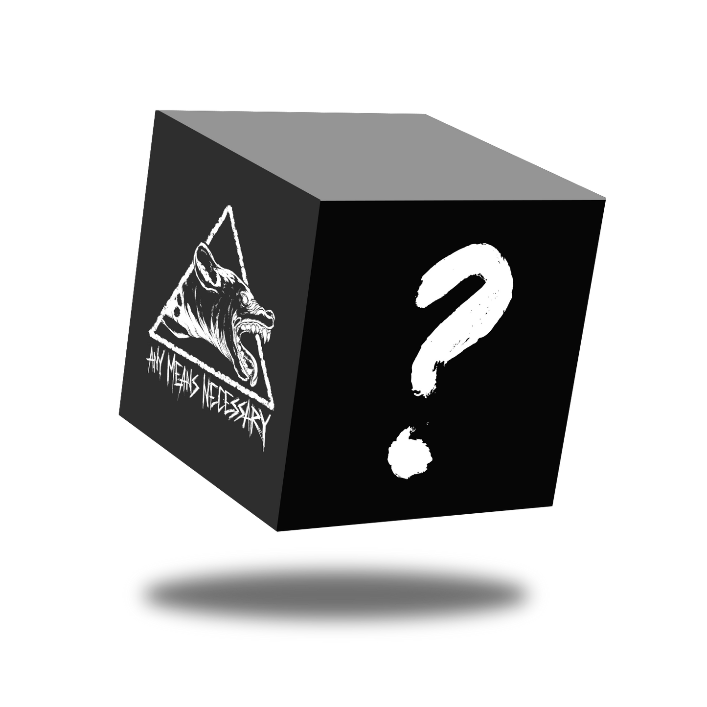 Mystery Item Any Means Necessary Clothing