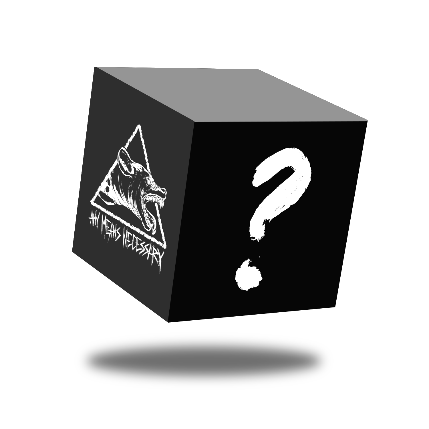 Mystery Item Any Means Necessary Clothing