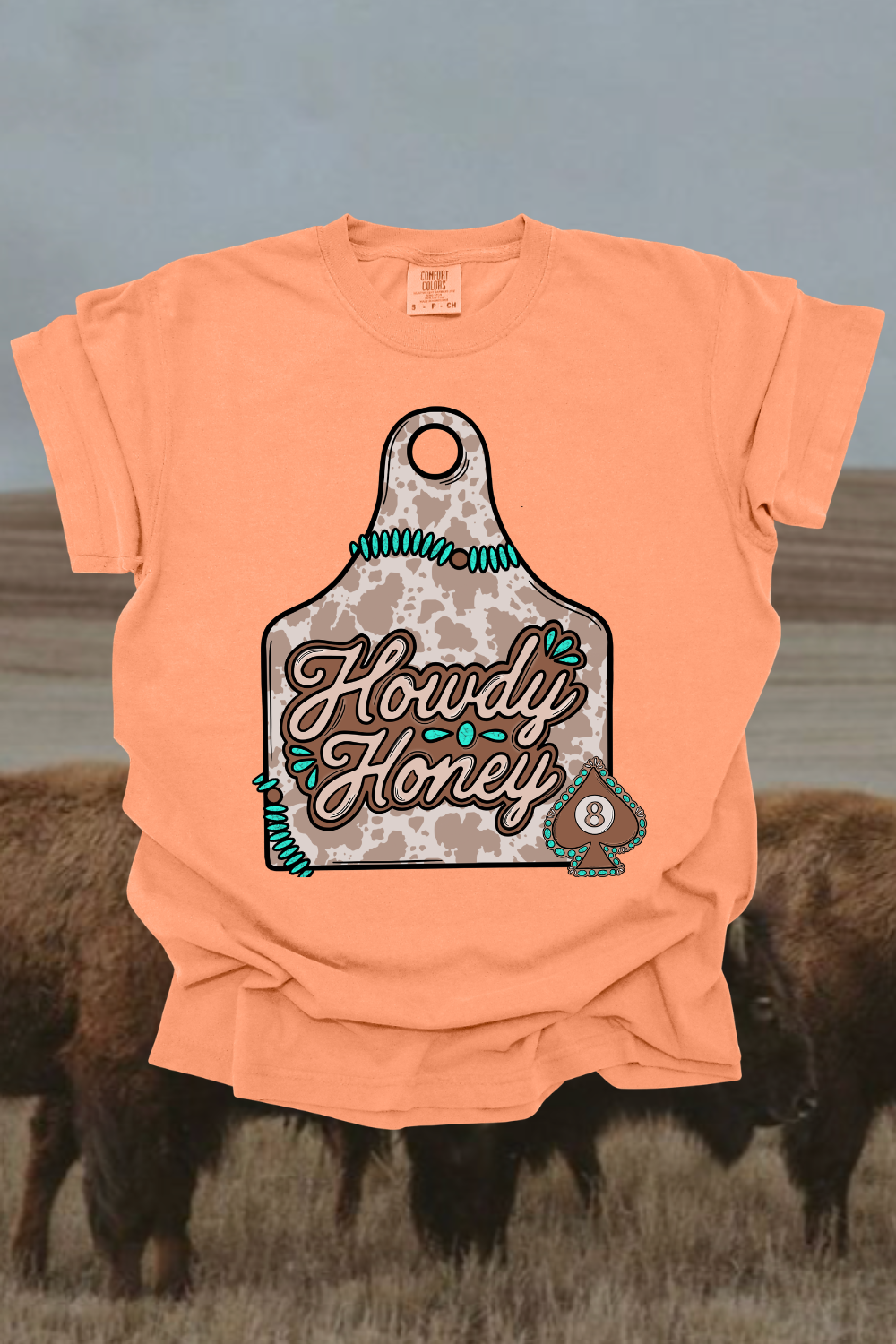 Howdy Honey Graphic Tee Spurs & Spades Boutique