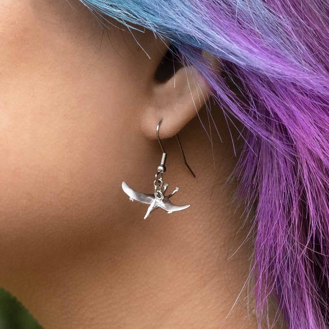 Pteradactyl & Stegosaurus Earrings Princess Awesome & Boy Wonder