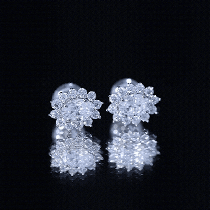 Certified Oval Shaped Moissanite Halo Stud Earrings in Silver