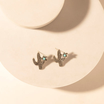 Myra Sonoran Stud Set in with turquoise detail in premium style Myra USA