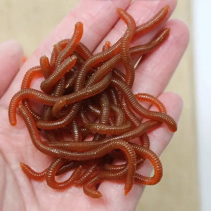 BURLE Lifelike Fishy Smell Red Soft Lures Simulation Earthworm Red Worms Artificial Fishing Lures Pi-Mart