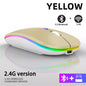 Rechargeable Bluetooth Wireless Mouse with 2.4GHz USB RGB 1600DPI Mouse for Computer Laptop Tablet PC Macbook Gaming Mouse Gamer Pi-Mart