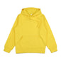 Hoodies for men and women 2025 autumn new item heavyweight American high street men's top plus size hooded pullover NovaCart