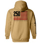 America 250 Years Anniversary Flag Shield Republic