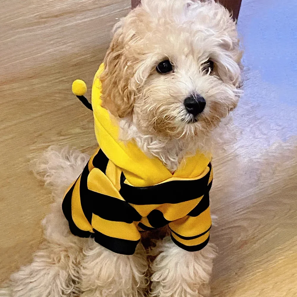 Cute Bee Costume Dog Cat Hoodie - thickened Pet Sweater Warm Outfit for Halloween Cosplay & Daily Wear pet clothes dogs clothes NovaCart