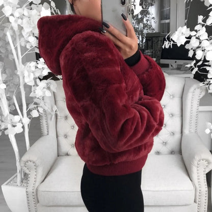 Hoodies Women Clothing Streetwear 2025 Autumn Winter Spring New Fashion Versatile Casual Solid Long Sleeves Coat for Female NovaCart