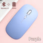 Bluetooth 5.0 Wireless Mouse Ultra Slim Portable Silent Ergonomic for Laptop Tablet PC MacBook Phone Adjustable DPI Ergonomic Pi-Mart