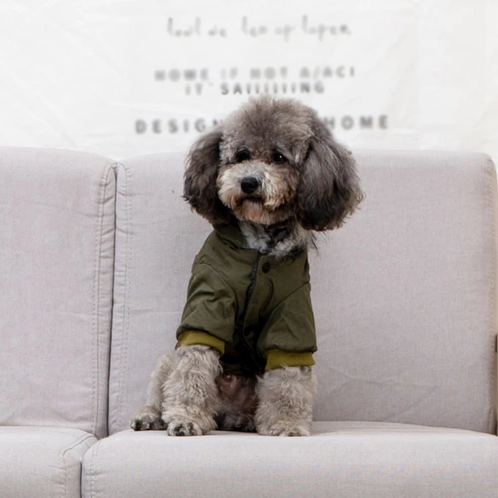 Winter Warm Puppy Jacket, Thicken Hoodie Dog Coat for Small Medium Dogs Chihuahua Yorkies, Cute Pet Clothing NovaCart