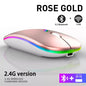 Rechargeable Bluetooth Wireless Mouse with 2.4GHz USB RGB 1600DPI Mouse for Computer Laptop Tablet PC Macbook Gaming Mouse Gamer Pi-Mart
