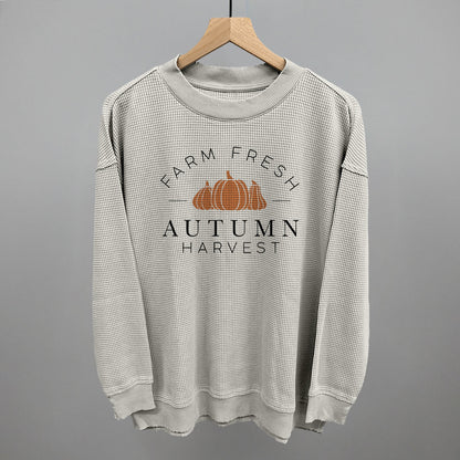 Autumn Harvest Ivy + Cloth