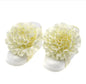 Baby Floral Headband and Foot Accessories Set