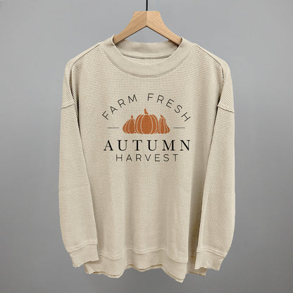 Autumn Harvest Ivy + Cloth