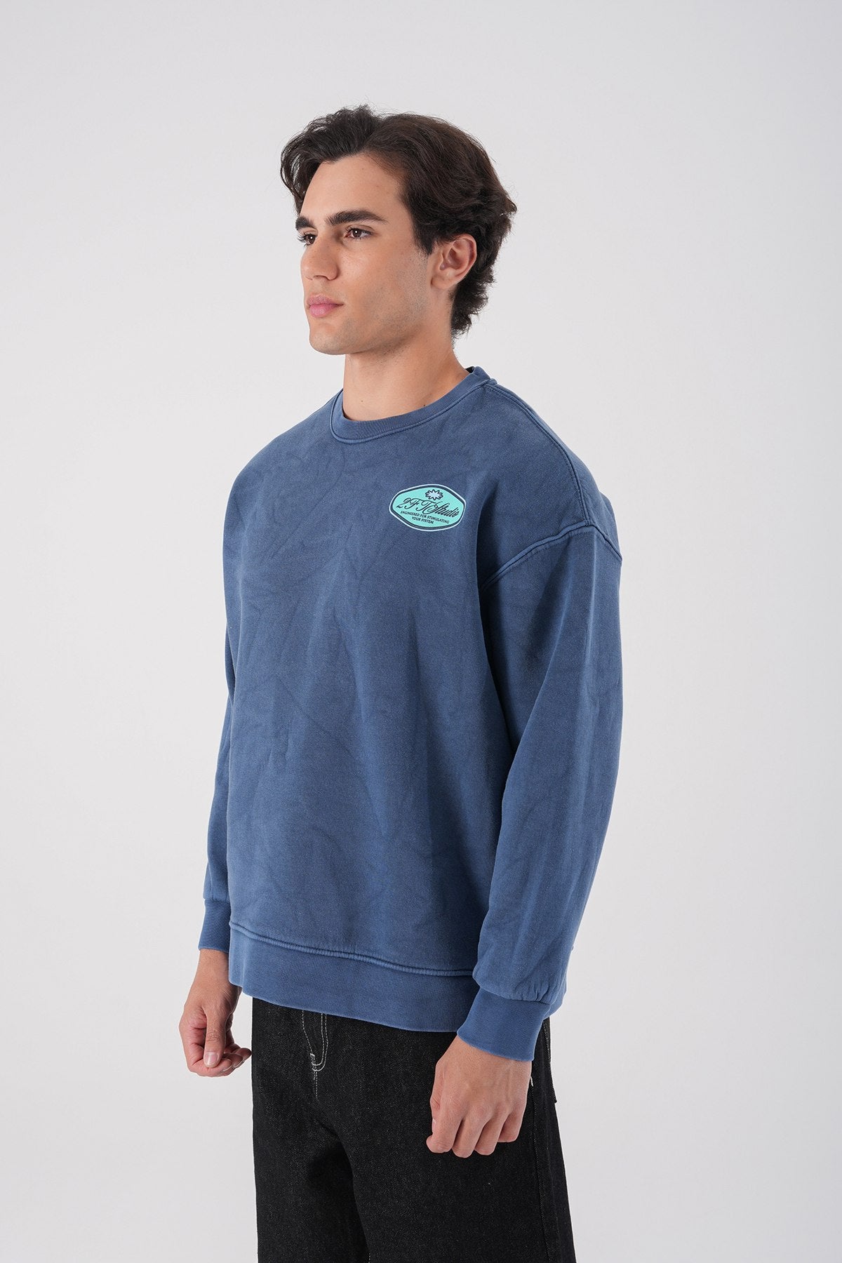 Unisex Washed Graphic Sweatshirt – "Reasonable" Back Print Withinblack