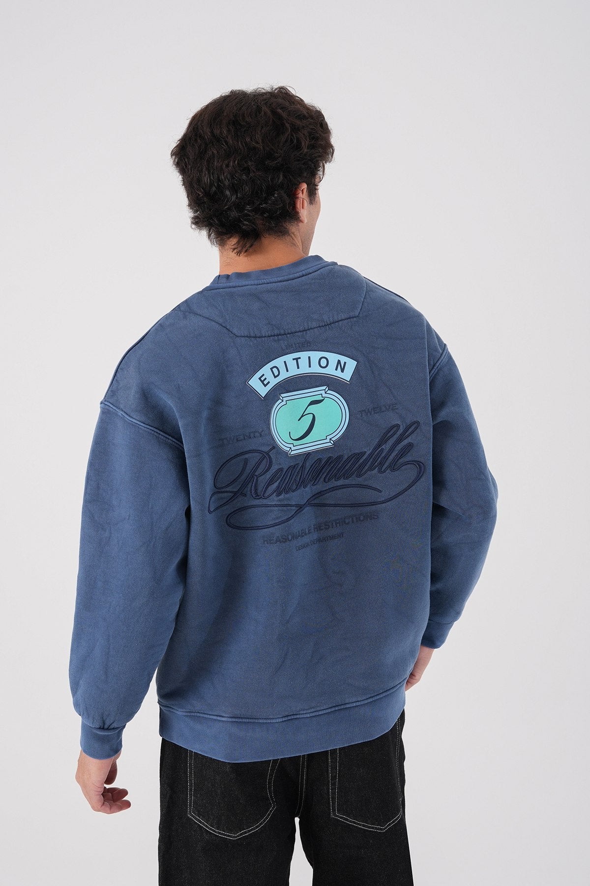 Unisex Washed Graphic Sweatshirt – "Reasonable" Back Print Withinblack