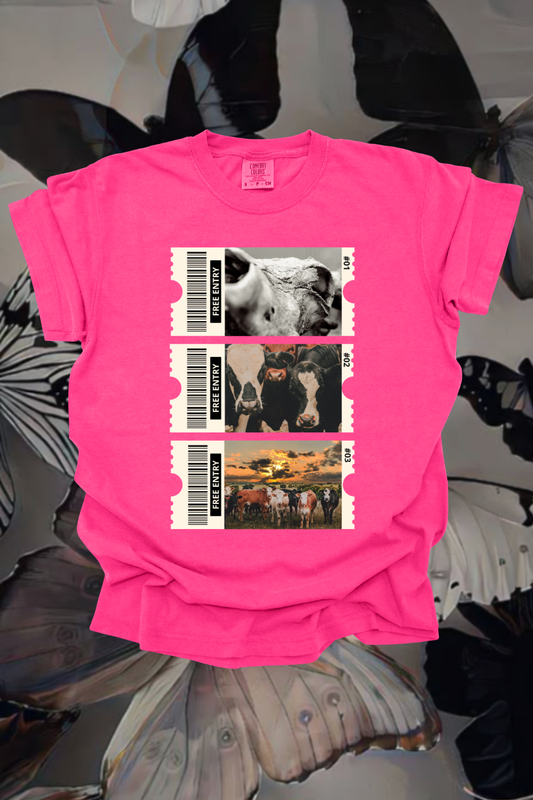 Entry Fee Graphic Tee Spurs & Spades Boutique