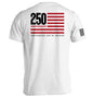 America 250 Years Anniversary Flag Shield Republic