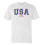 USA Star Pattern Shield Republic